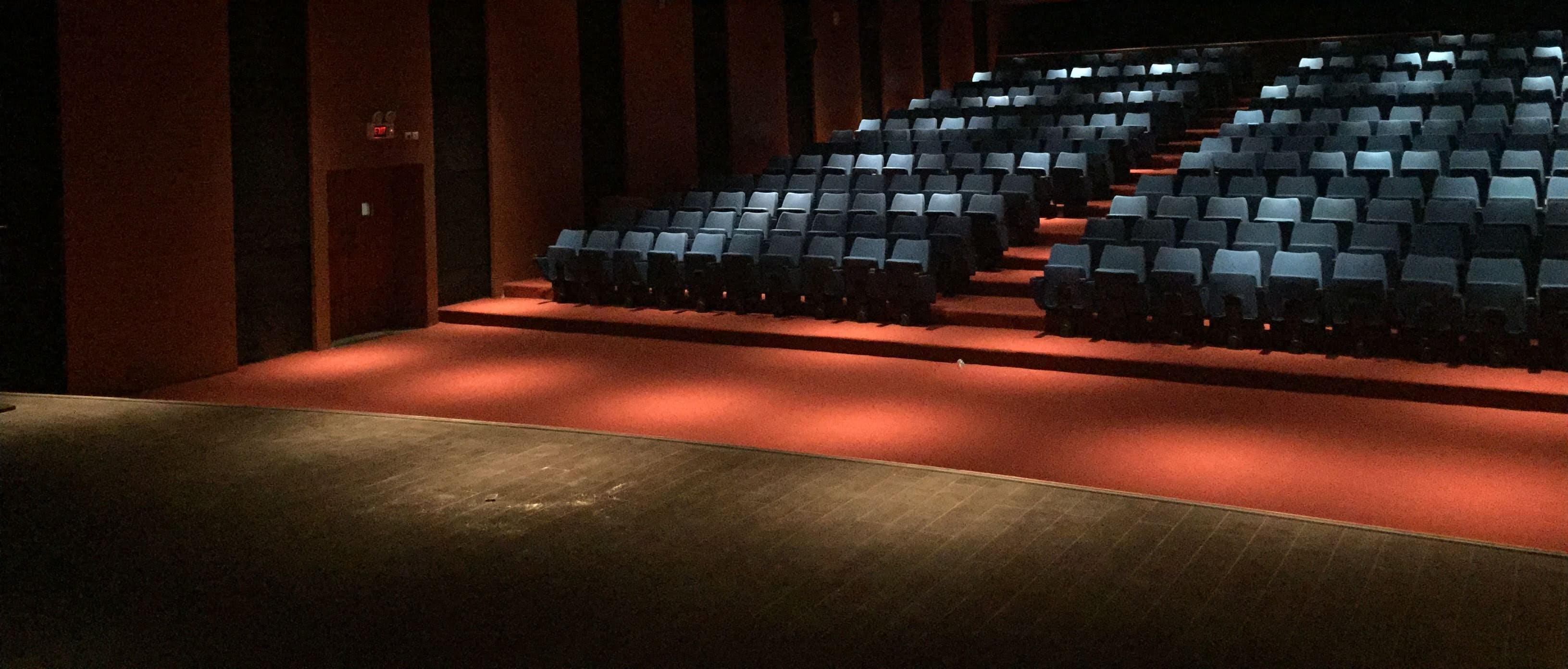 Multi-Purpose Hall Itanagar — vertical detail of side seating risers, cove illumination and EXIT egress door