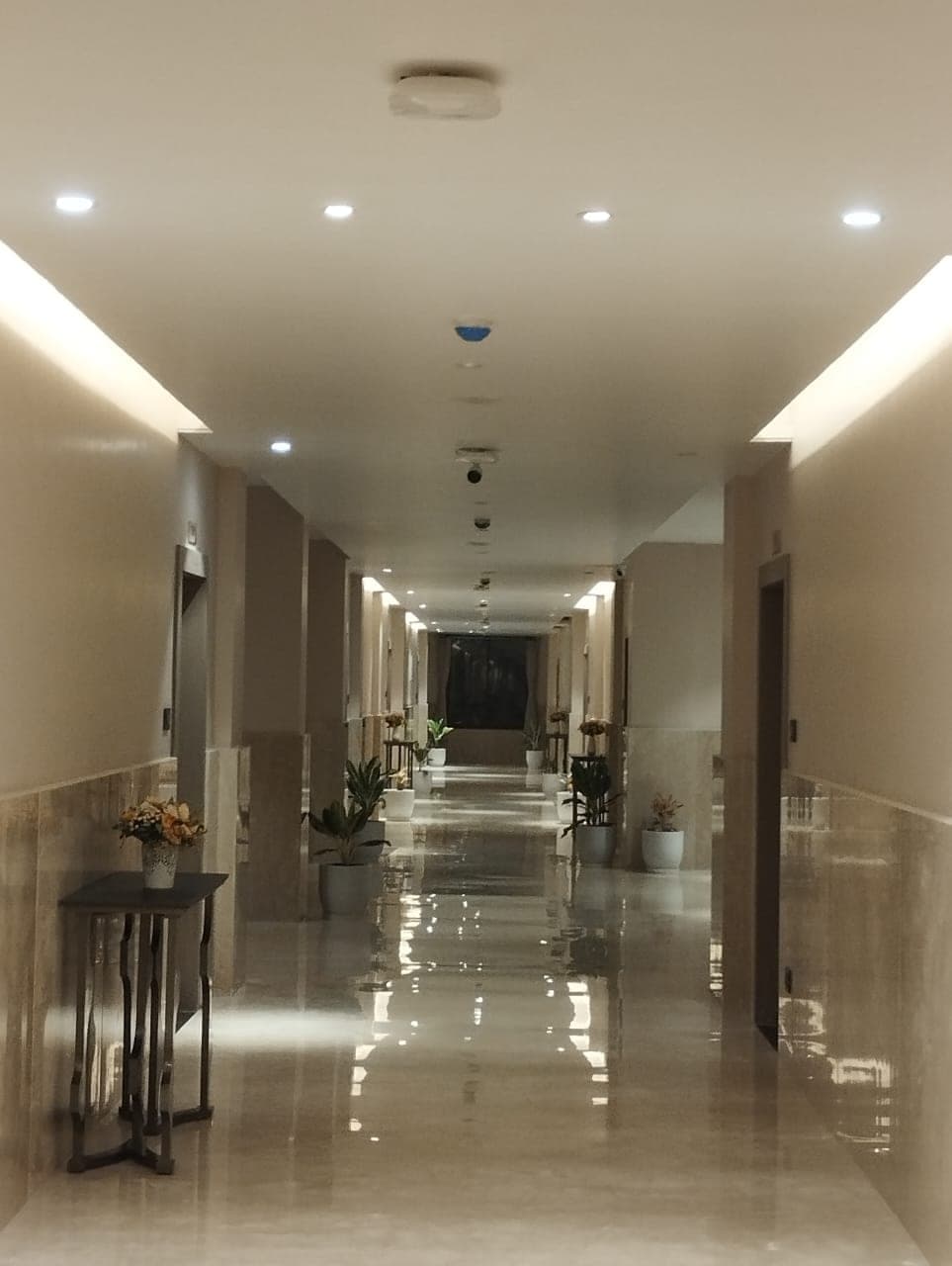 Taraghar guest-floor corridor with ceiling-mounted Honeywell IMPACT IP dome cameras